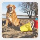 Search for dog on beach stickers Horizontal