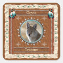 Search for coyote stickers Trickster
