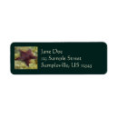 Search for star fish return address labels Tropical