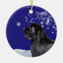 Search for newfoundland dog christmas tree decorations Winter