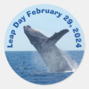 Search for 29 february stickers Birthday