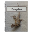 Search for lizard picture Animal