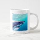 Search for cool shark mugs Photography