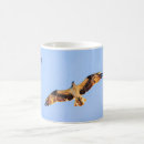 Search for osprey coffee mugs Bird
