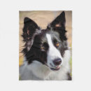 Search for border collie blankets Animal