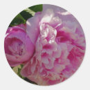 Search for cottage garden stickers Roses