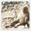 Search for nagano stickers Outdoors