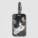 Search for adorable travel accessories Cat lover