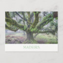 Search for laurel postcards Nature
