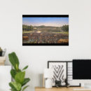 Search for noahs ark posters Ship