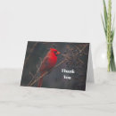 Search for cardinal thank you cards Wildlife