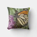 Search for purple butterfly cushions Photography