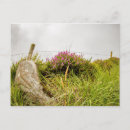 Search for heather postcards Floral