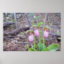 Search for slipper posters Nature
