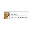 Search for labs return address labels Pet