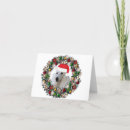 Search for standard christmas cards Poodles