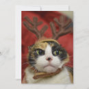 Search for reindeer head christmas cards Domestic animals