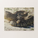 Search for wildlife puzzles Reptiles