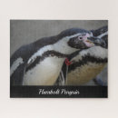 Search for penguin puzzles Wildlife