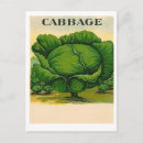 Search for seed packet postcards Vintage