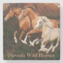 Search for arizona coasters New mexico