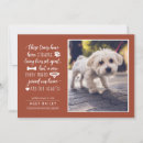 Search for dog adoption invitations Cute