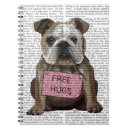 Search for cat hug Animals