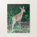 Search for deer hunting puzzles Animal