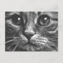 Search for black eye postcards Face