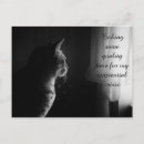 Search for black felines postcards Humour