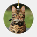 Search for bengal cat christmas tree decorations Feline
