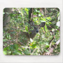 Search for whitetail mousepads Animals