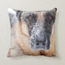 Search for german shepherd cushions Animal