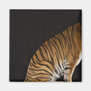 Search for back view magnets Animal