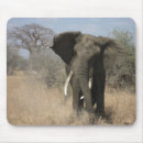 Search for tanzania electronics Wild