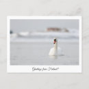 Search for finland postcards Suomi