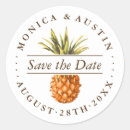 Search for modern pineapple stickers Luau