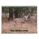 Search for tail office supplies Hunter