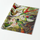 Search for hummingbird wrapping paper Kunstformen der natur
