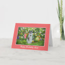 Search for white cat birthday cards Black and white cats