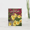 Search for kind photography Flowers
