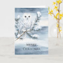 Search for snowy owl christmas cards Blue
