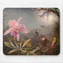 Search for johnson electronics Hummingbirds