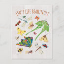 Search for carl postcards Classic eric carle style