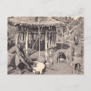 Search for colony postcards Vintage