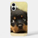 Search for rottweilers electronics Puppy