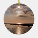 Search for skies christmas tree decorations Photography