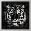 Search for black white tiger posters Cat