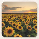 Search for sunflower coasters Blossom