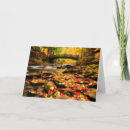 Search for creeks cards Photography